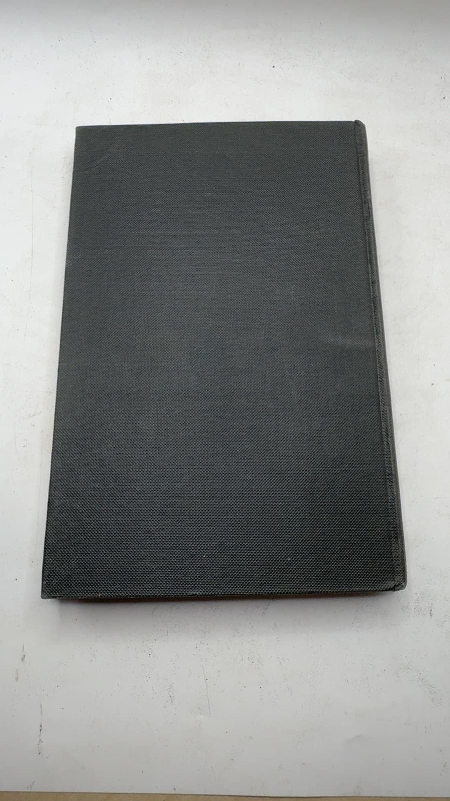 The Christian Life (Fragment) by Karl Barth - additional view