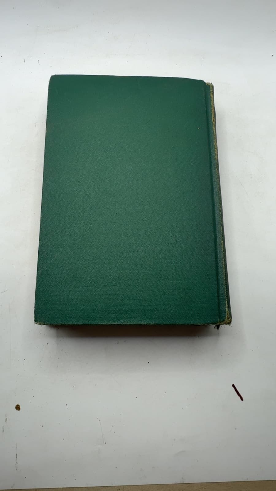 The Hunchback of Notre Dame by Victor Hugo - additional view