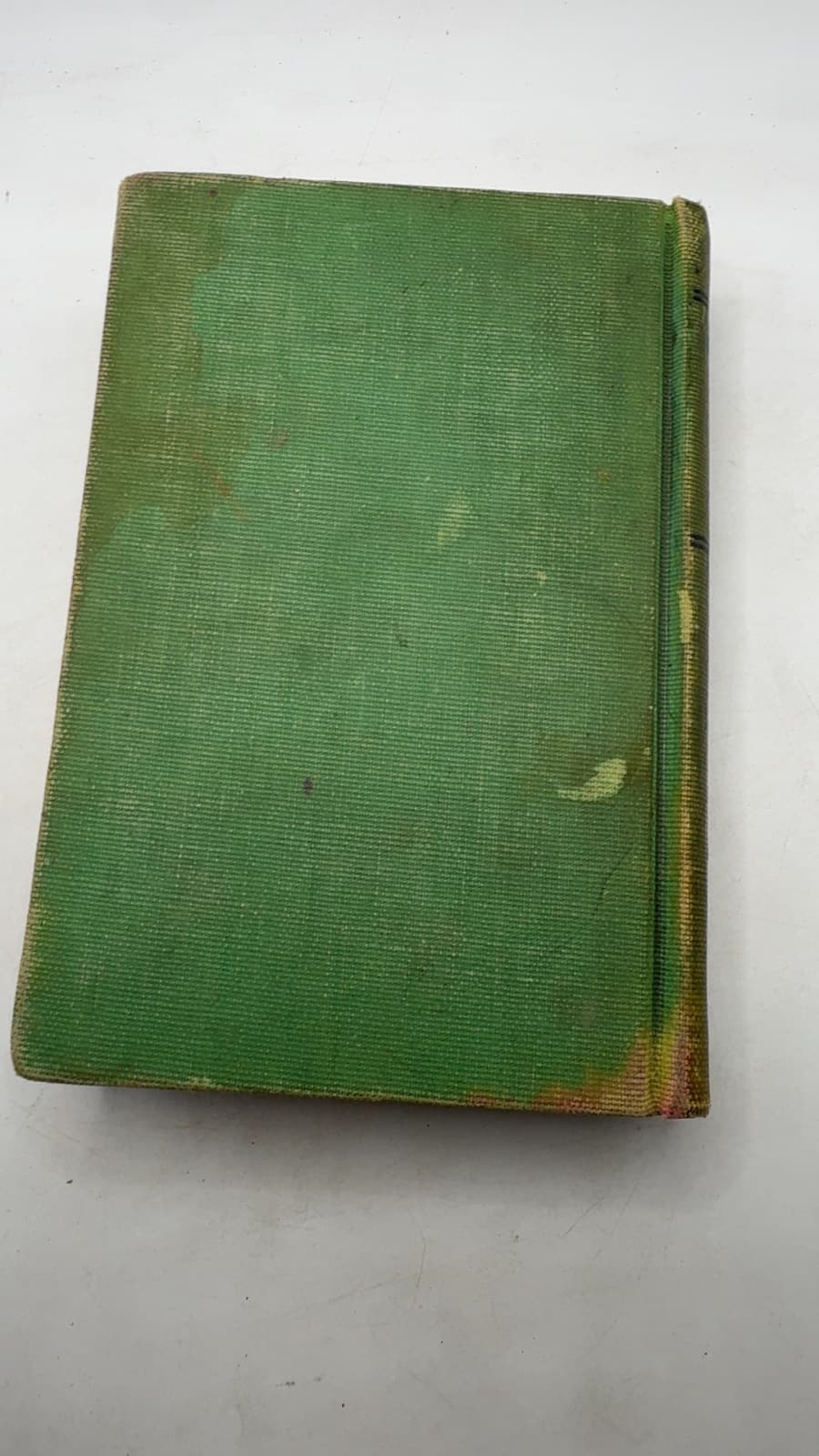 The Blue Bird by Maurice Maeterlinck - additional view