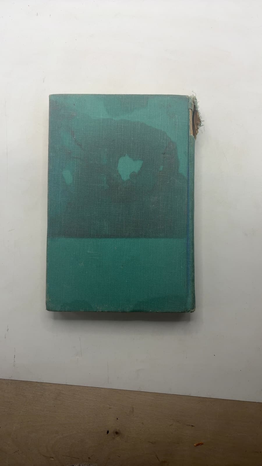 Boy Trouble by Rosamond du Jardin - additional view