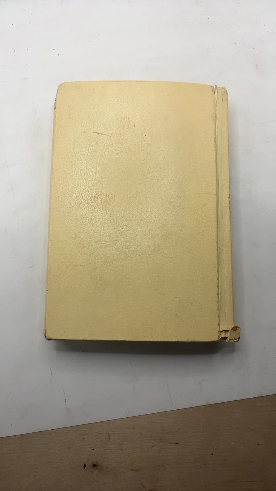 The Book of Life by Newton M. Hall, Irving F. Wood - additional view