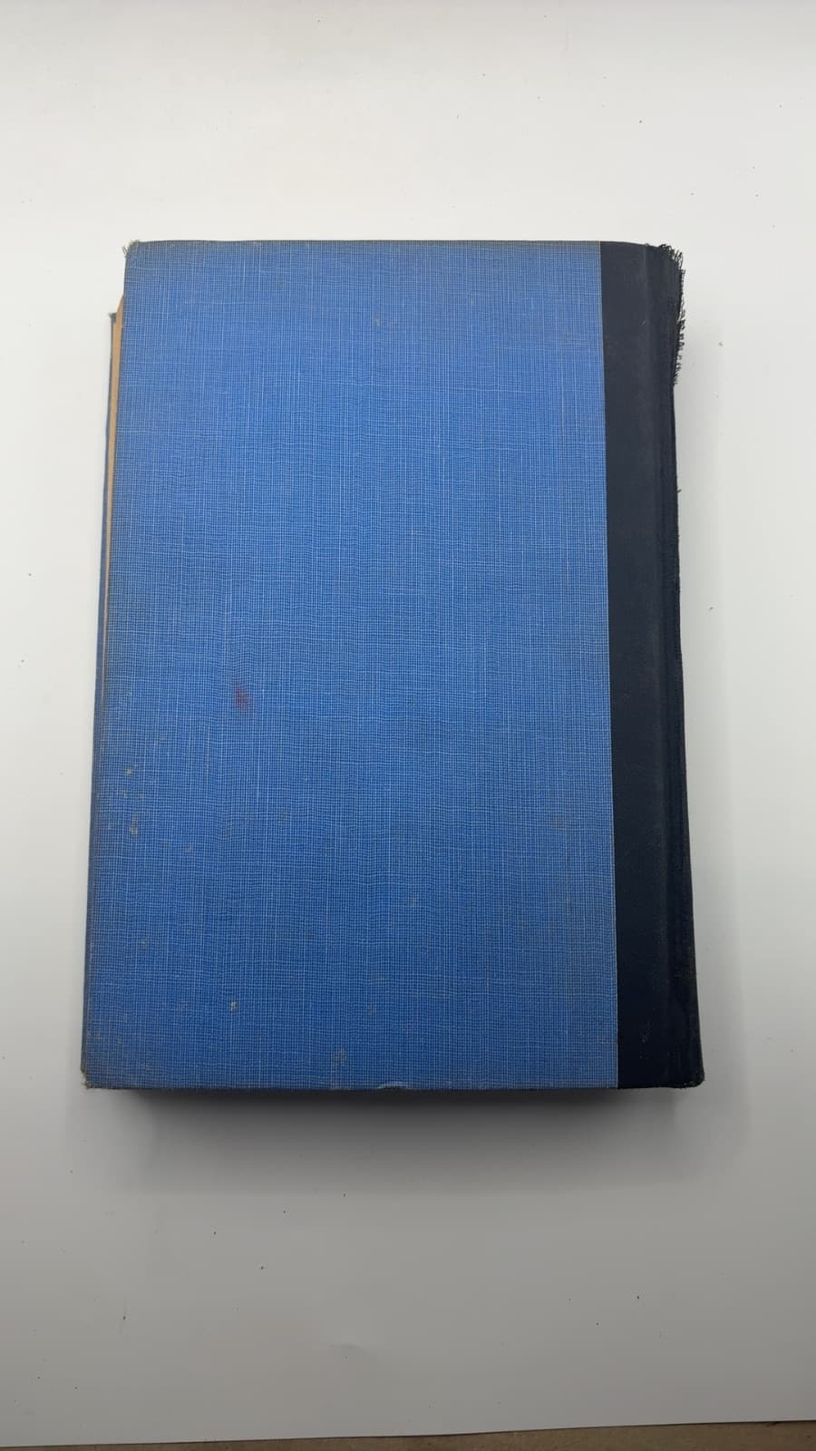 Gone with the Windsors by Iles Brody - additional view
