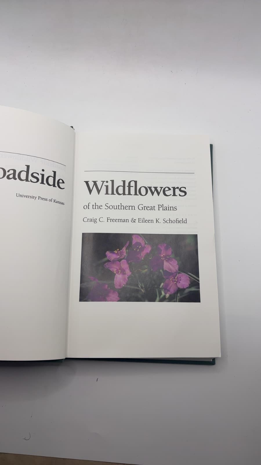 Roadside Wildflowers of the Southern Great Plains by Craig C. Freeman & Eileen K. Schofield - title page
