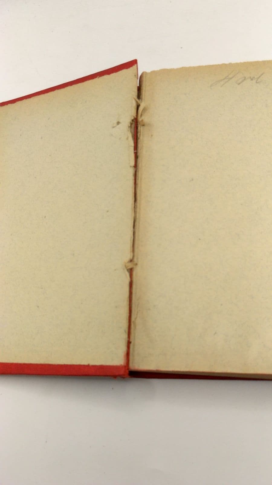 La Mujer Adúltera by Enrique Pérez Escrich - title page