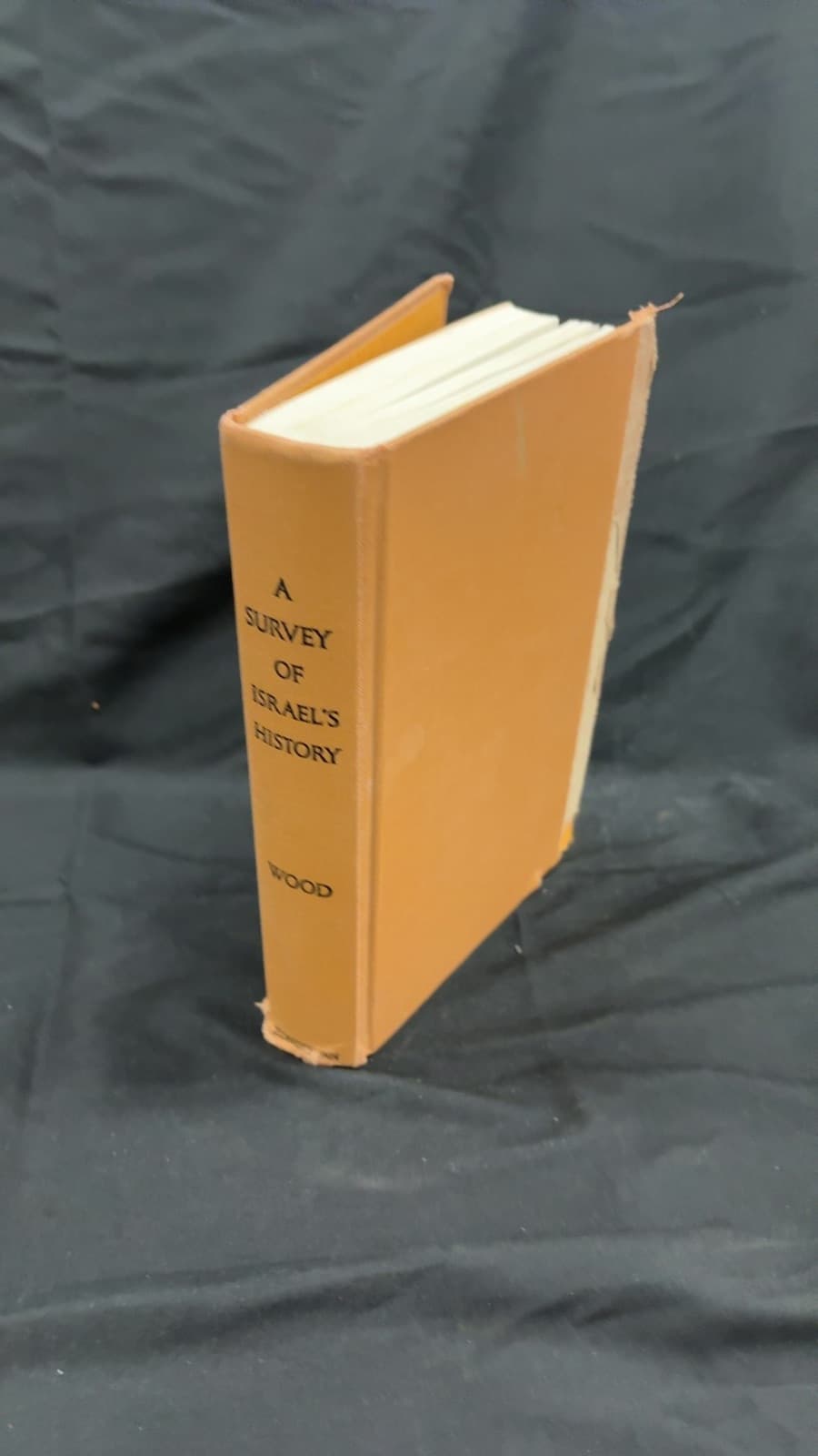 A Survey of Israel's History by Leon Wood - front cover