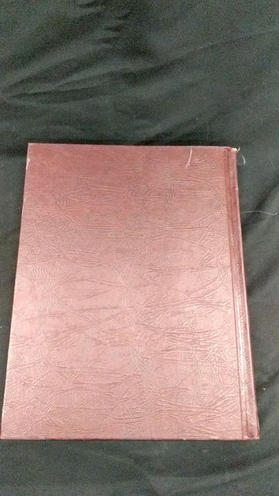 Britannica Book of the Year 1971 - additional view