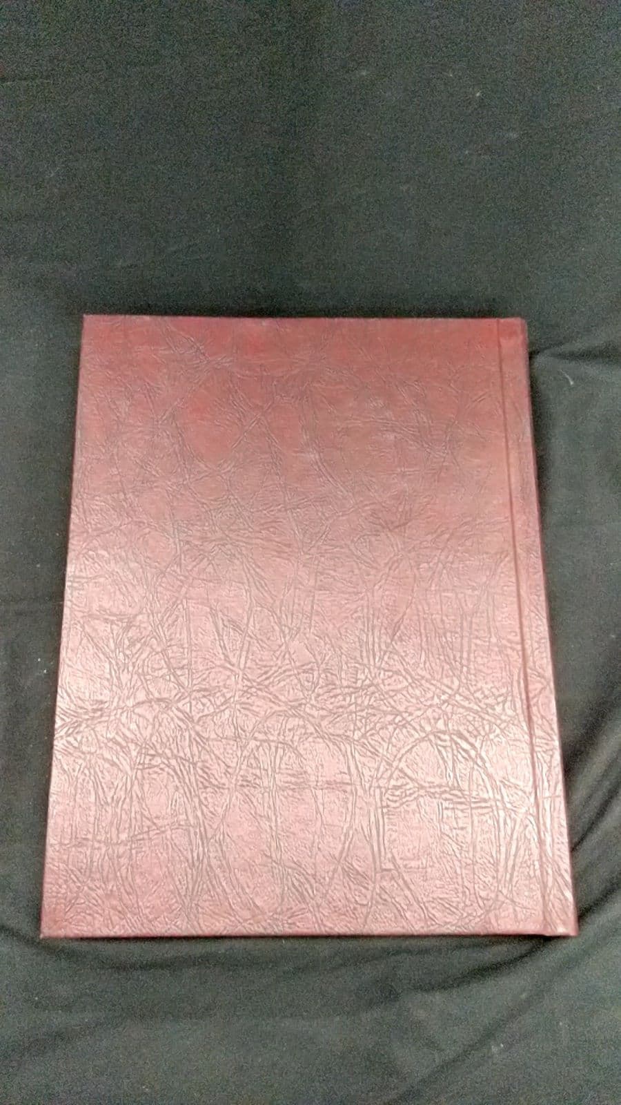 1989 Britannica Book of the Year by Encyclopedia Britannica, Inc. - additional view