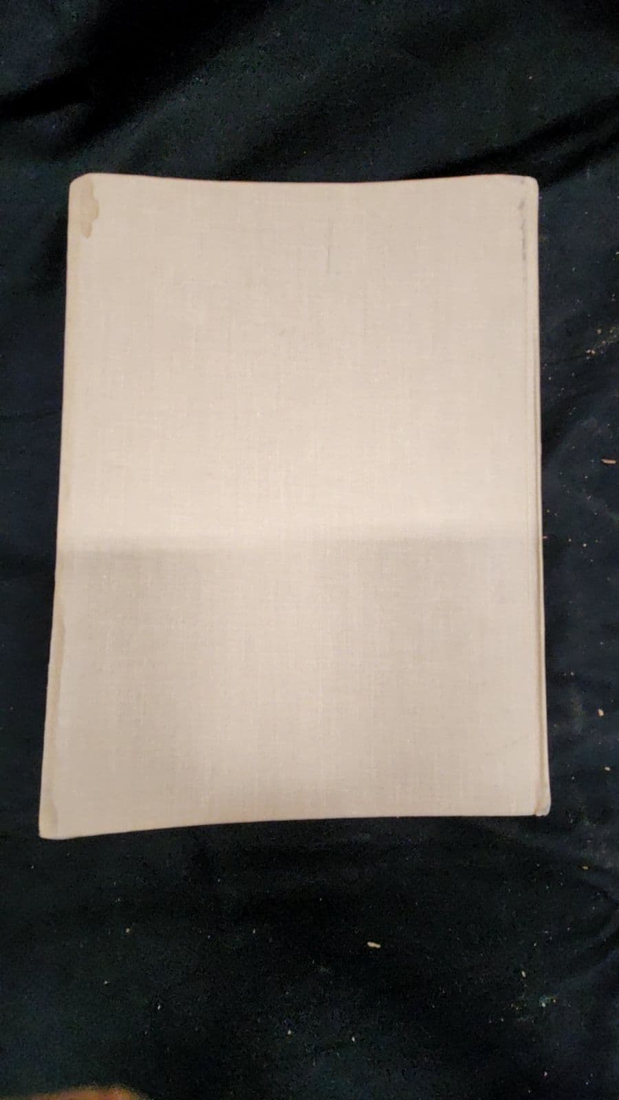 The Seventeen Book of Etiquette & Entertaining by Enid A. Haupt - additional view