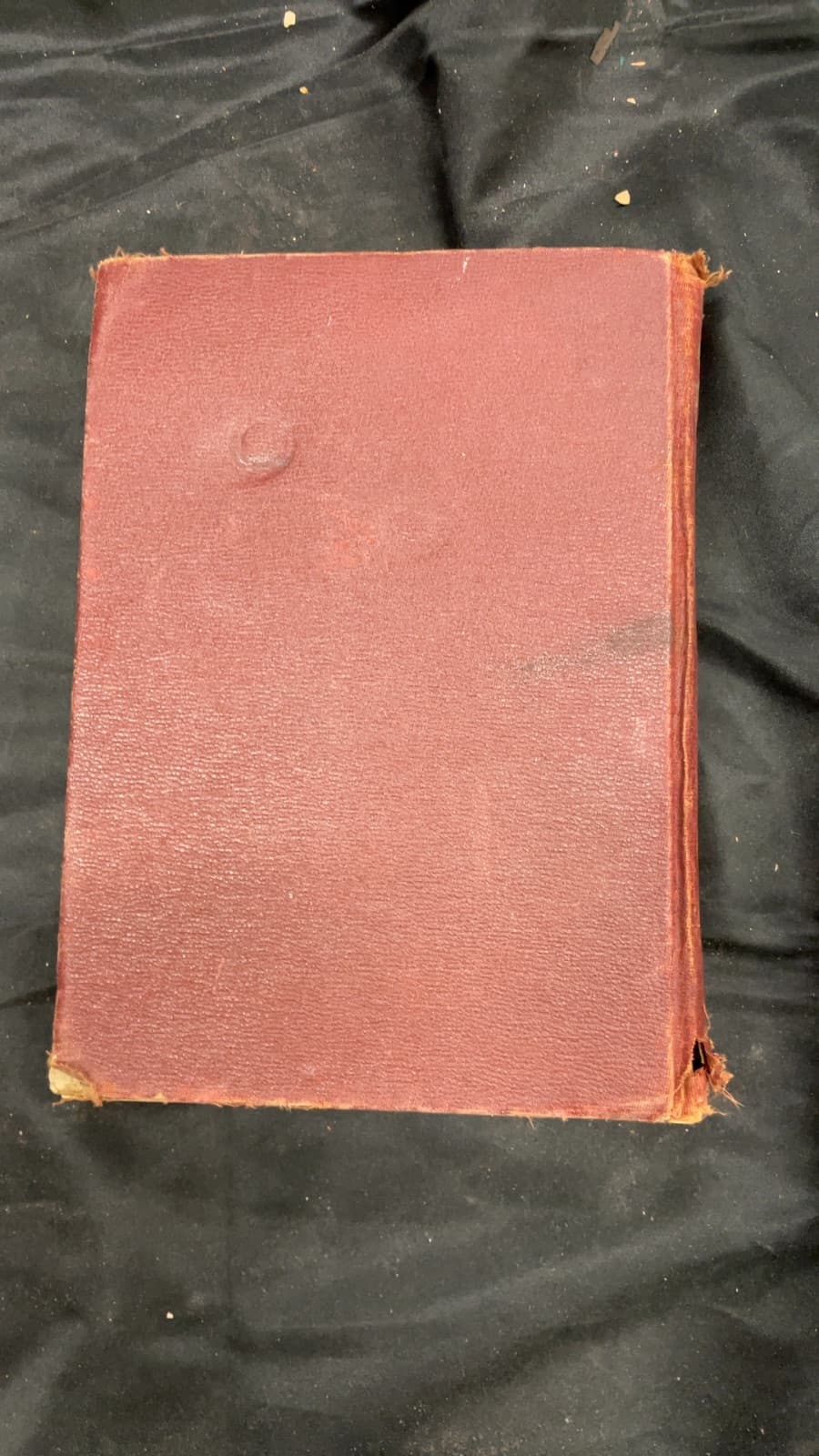 The Children's Treasury by Compiled by Marjorie Barrows - additional view