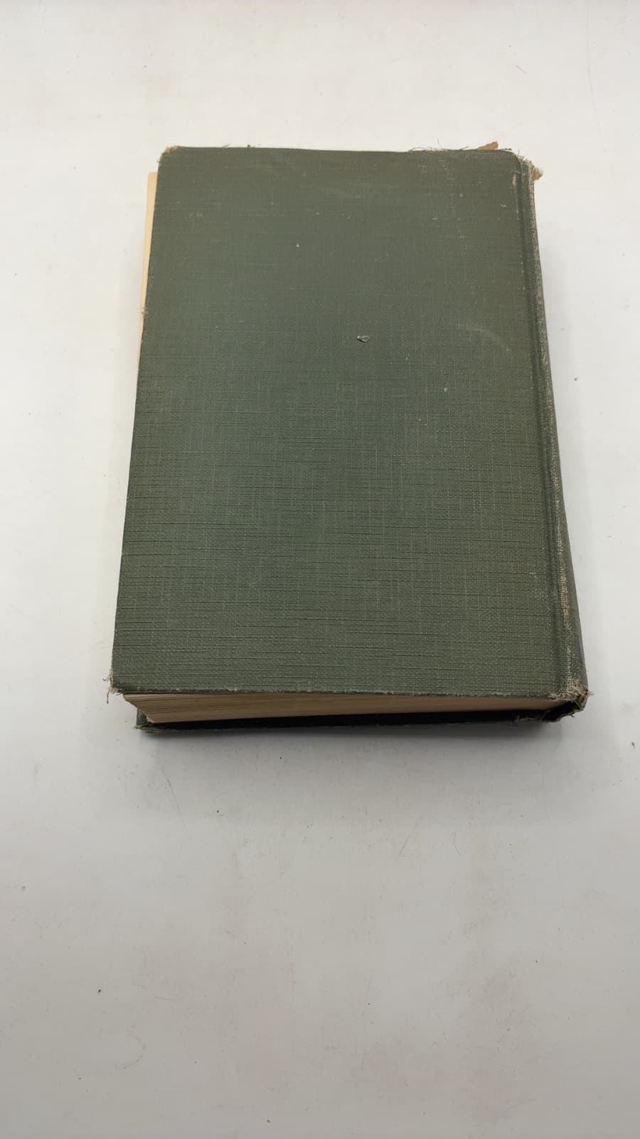 Life on the Mississippi by Mark Twain - additional view