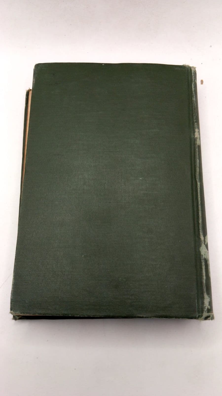 Elementary Biology: Plant, Animal, Human by James Edward Peabody, Arthur Ellsworth Hunt - additional view