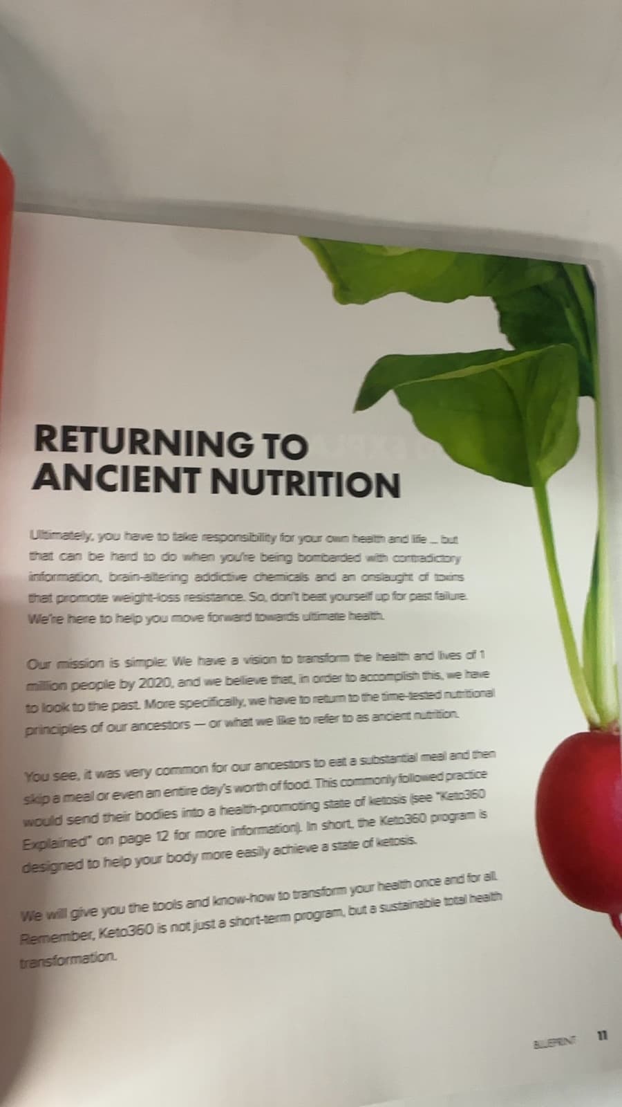 Keto360 Blueprint - title page