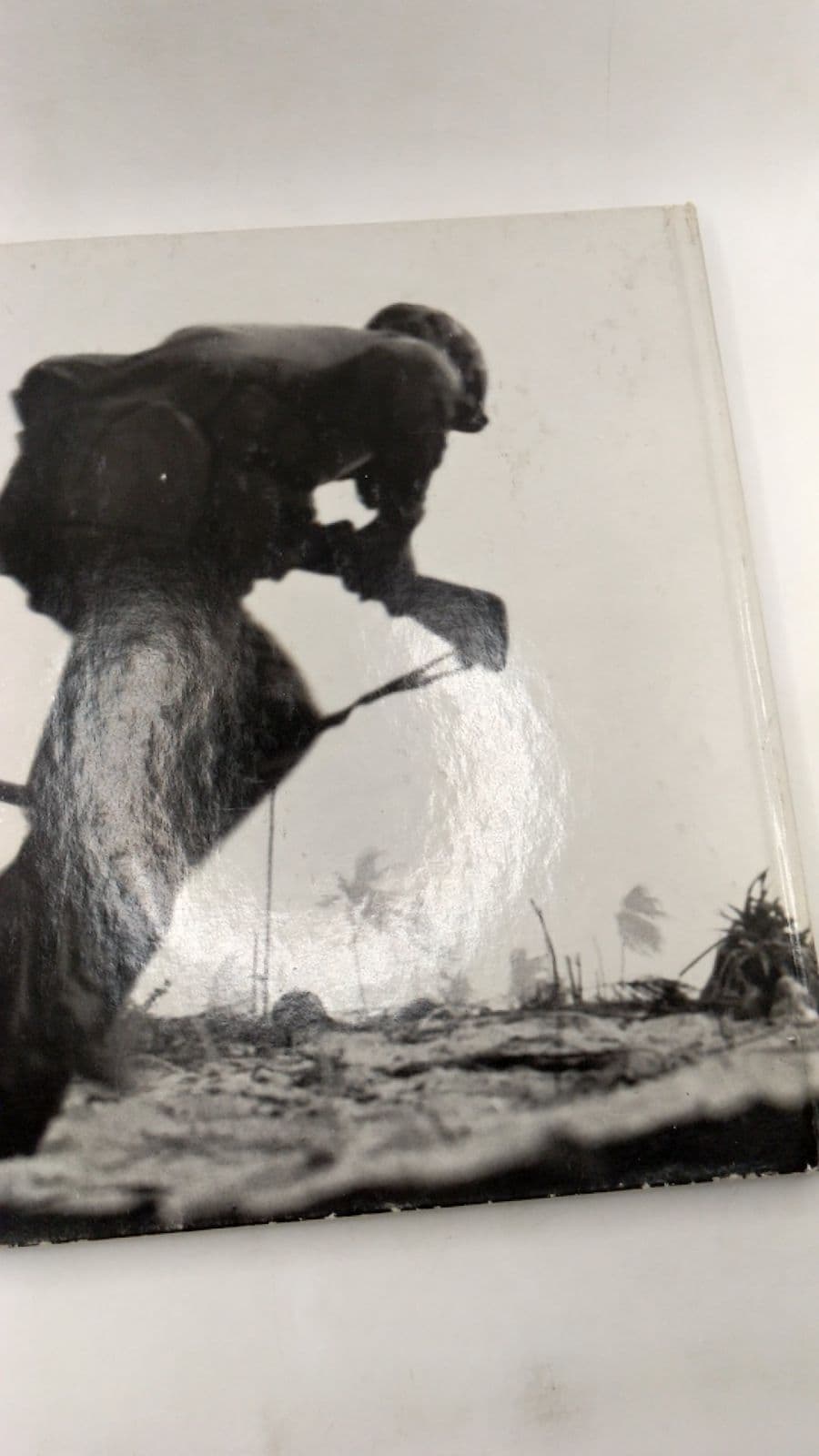 Island Fighting by Rafael Steinberg and the Editors of Time-Life Books - additional view