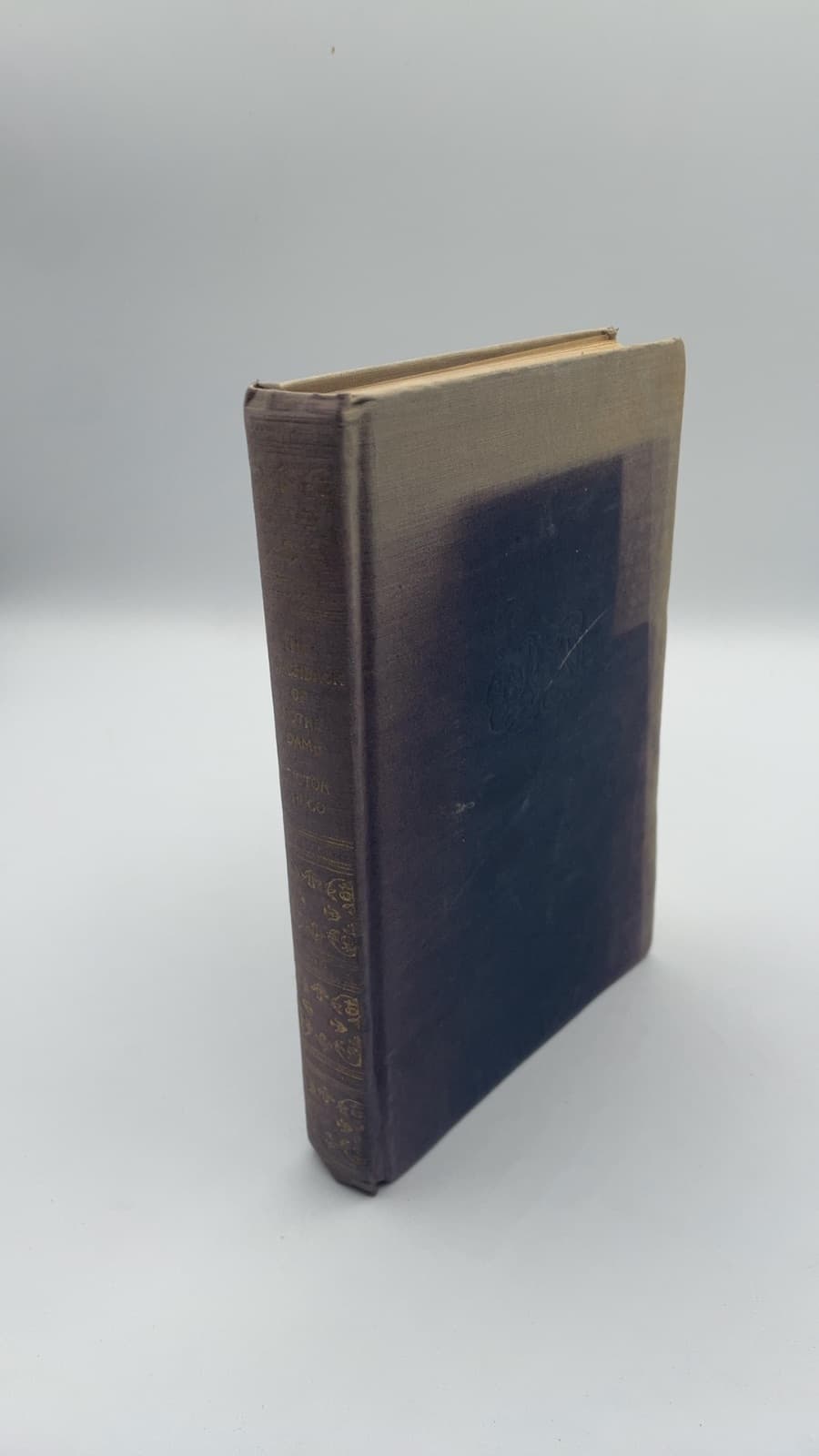 THE Hunchback OF Notre Dame by Victor Hugo - front cover