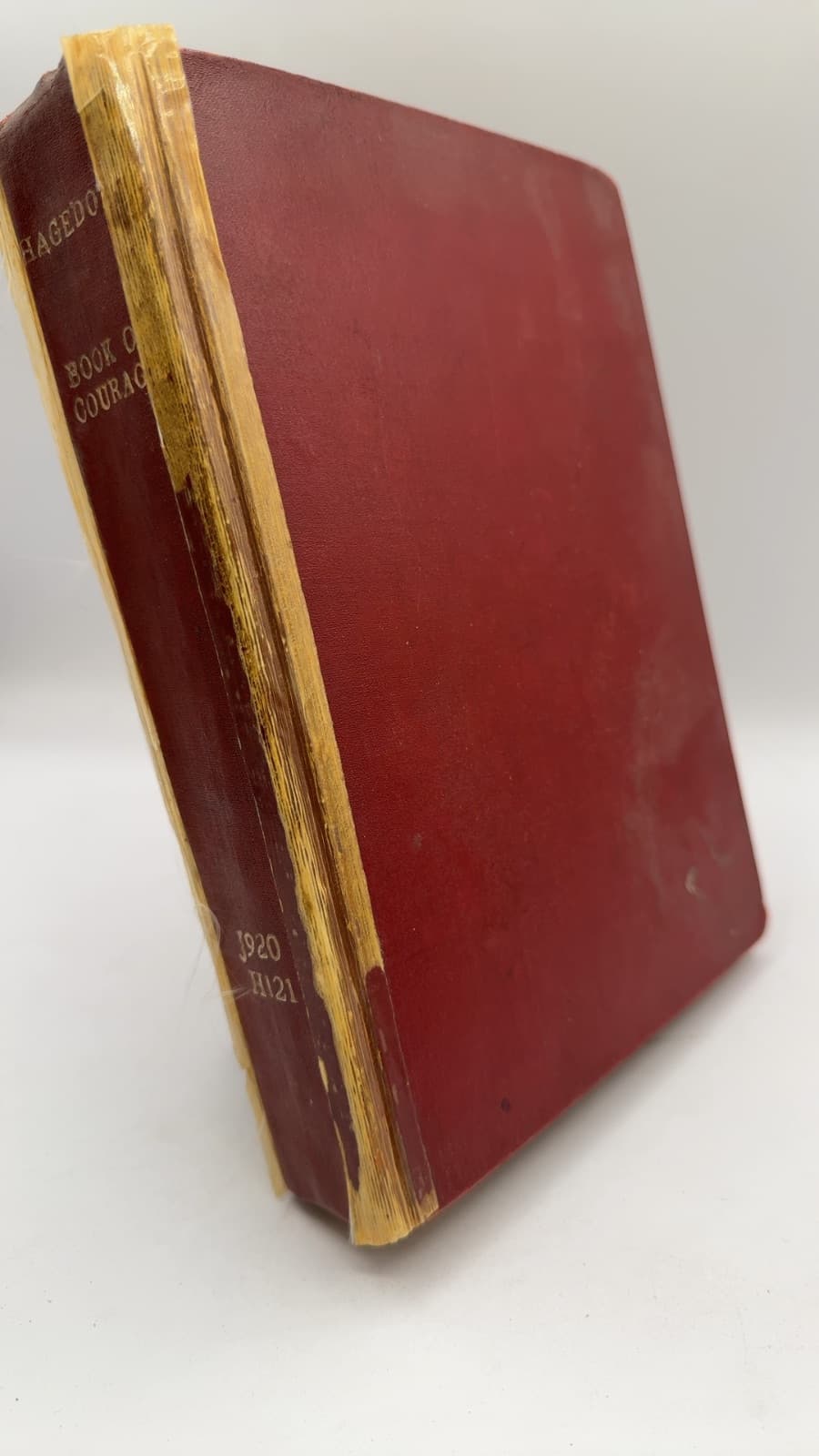 The Book of Courage by Hermann Hagedorn - front cover