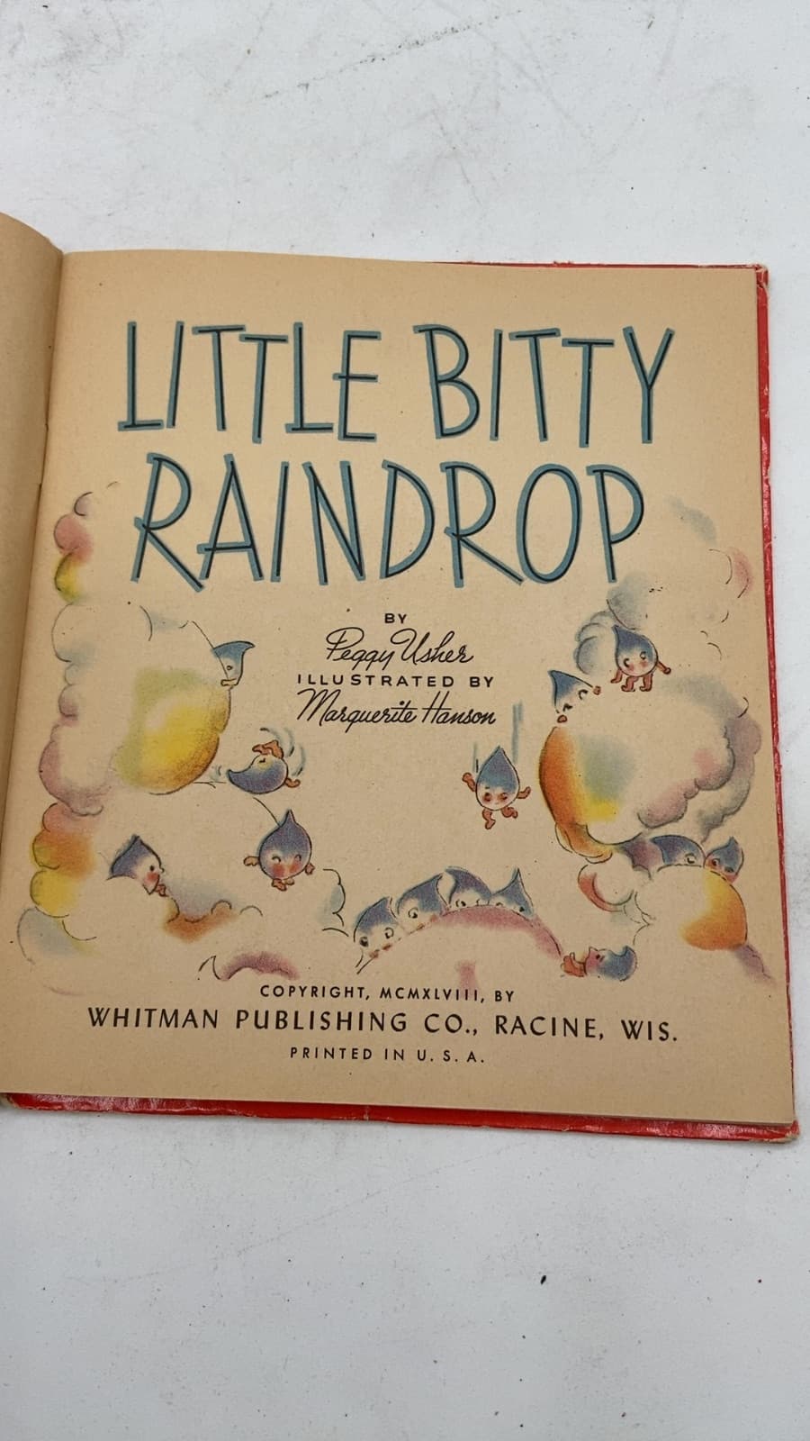 Little Bitty Raindrop by Peggy Usher - title page