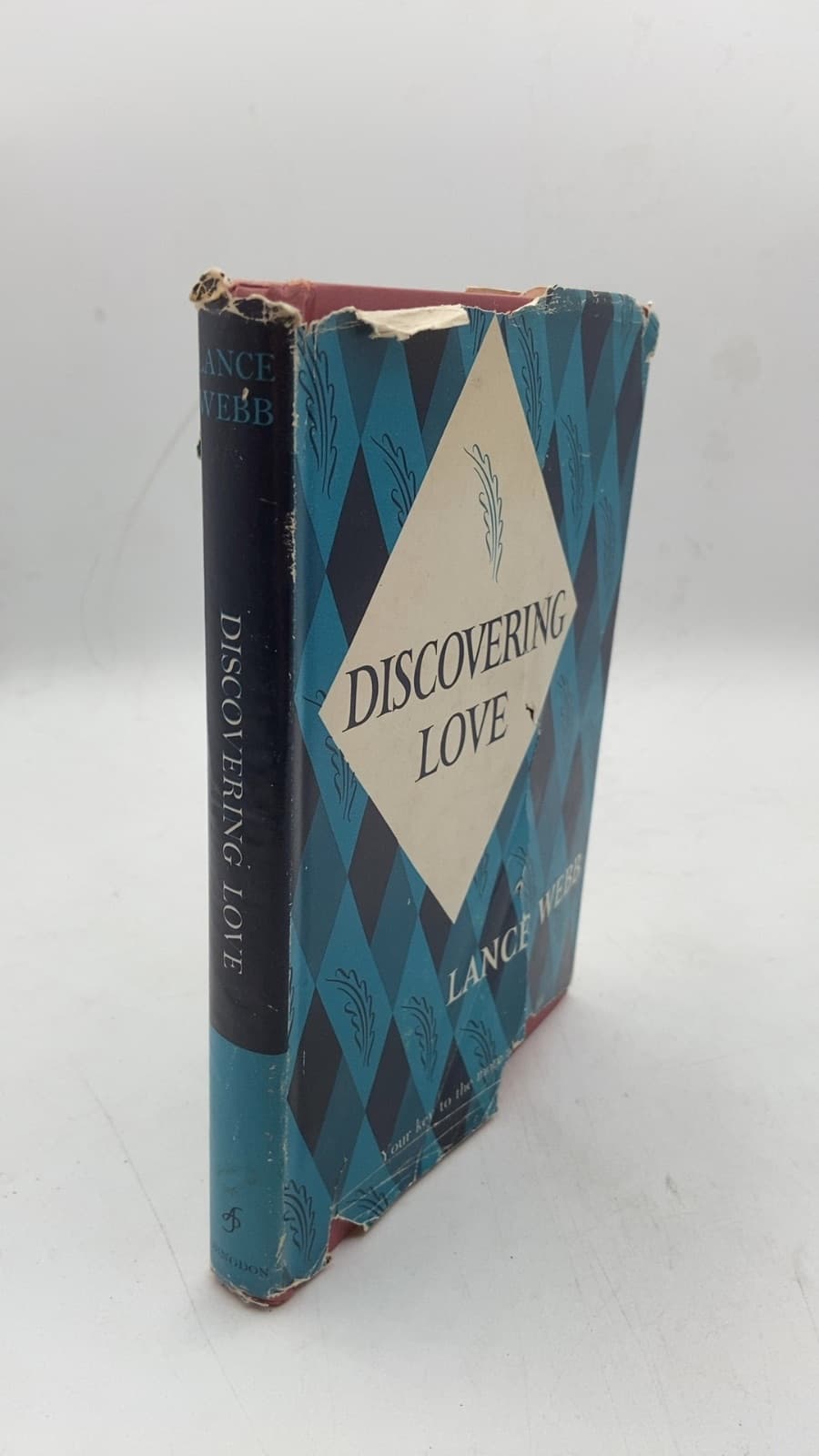 Discovering Love by Lance Webb - front cover