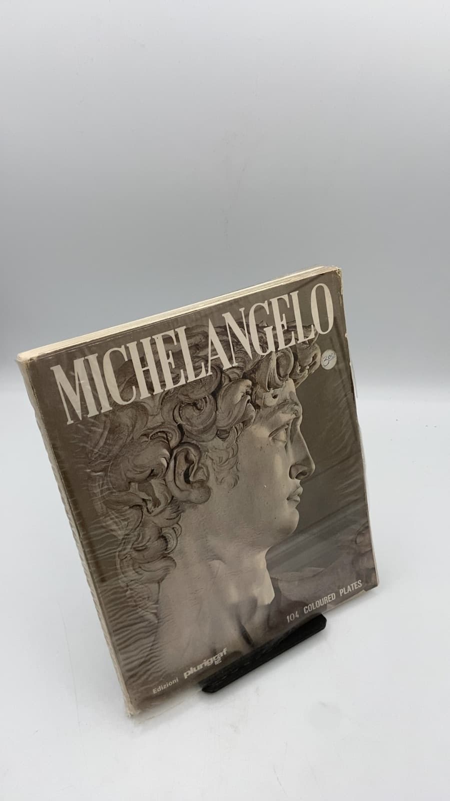 Michelangelo by Loretta Santini - front cover
