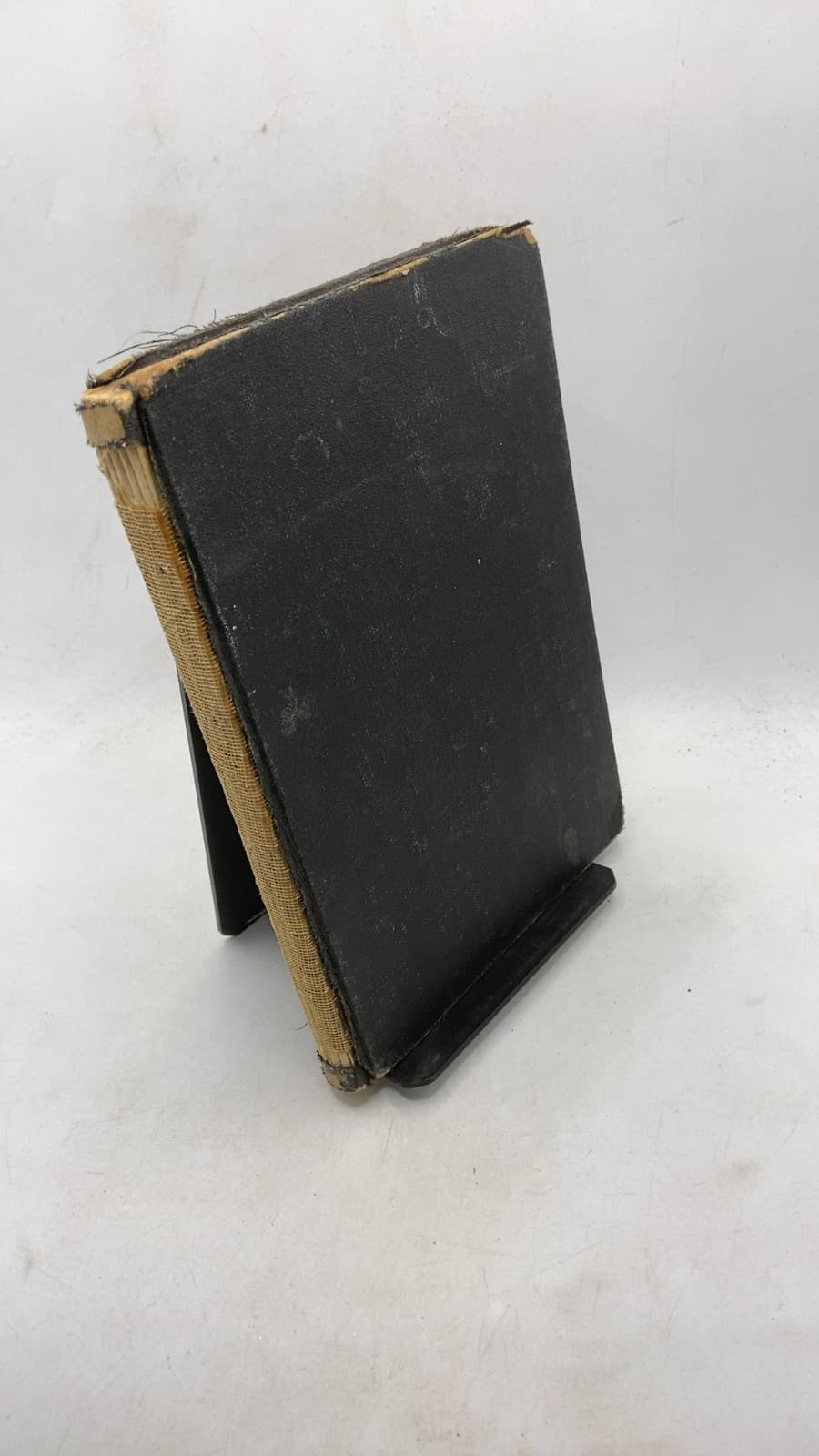 Webster's Modern Thesaurus Revised - front cover