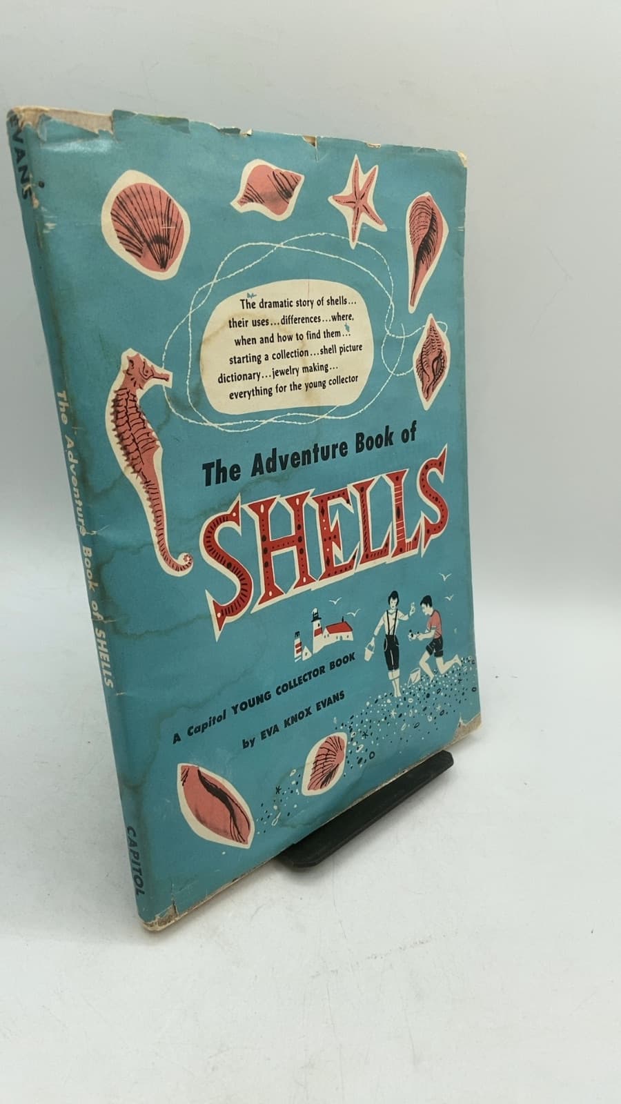 The Adventure Book of Shells by Eva Knox Evans - front cover