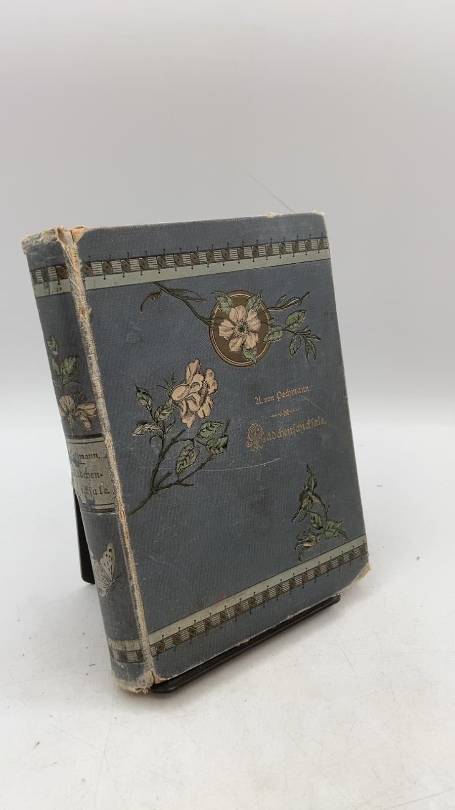 Mädchenschicksale by Auguste von Pechmann - front cover