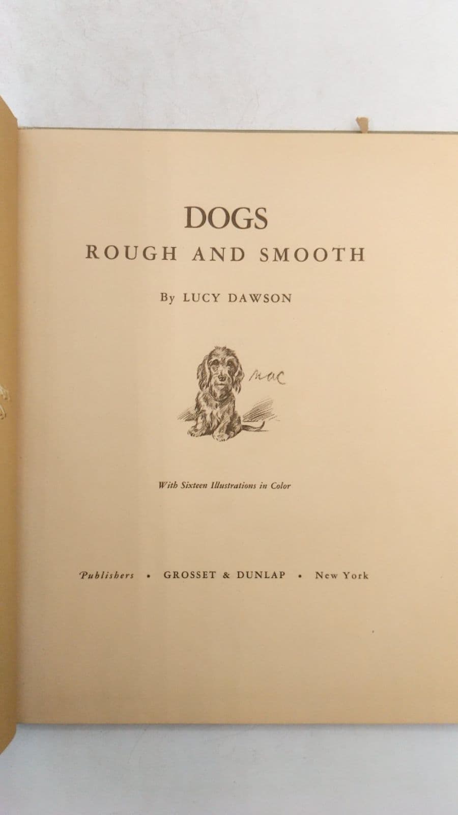 Dogs Rough and Smooth by Lucy Dawson - title page
