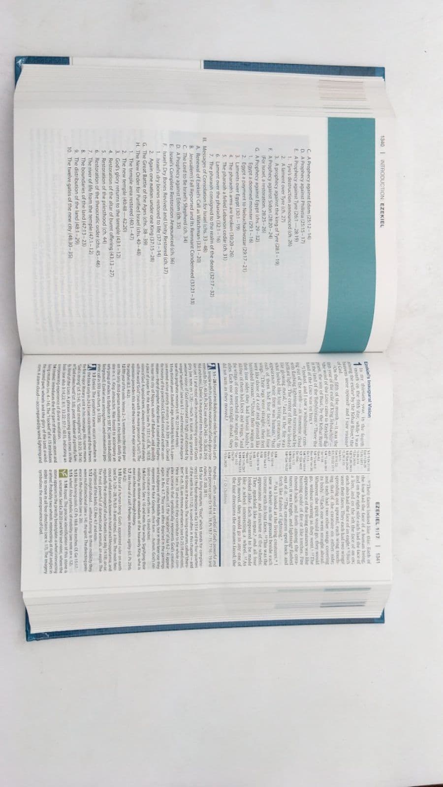 NIV Study Bible - additional view
