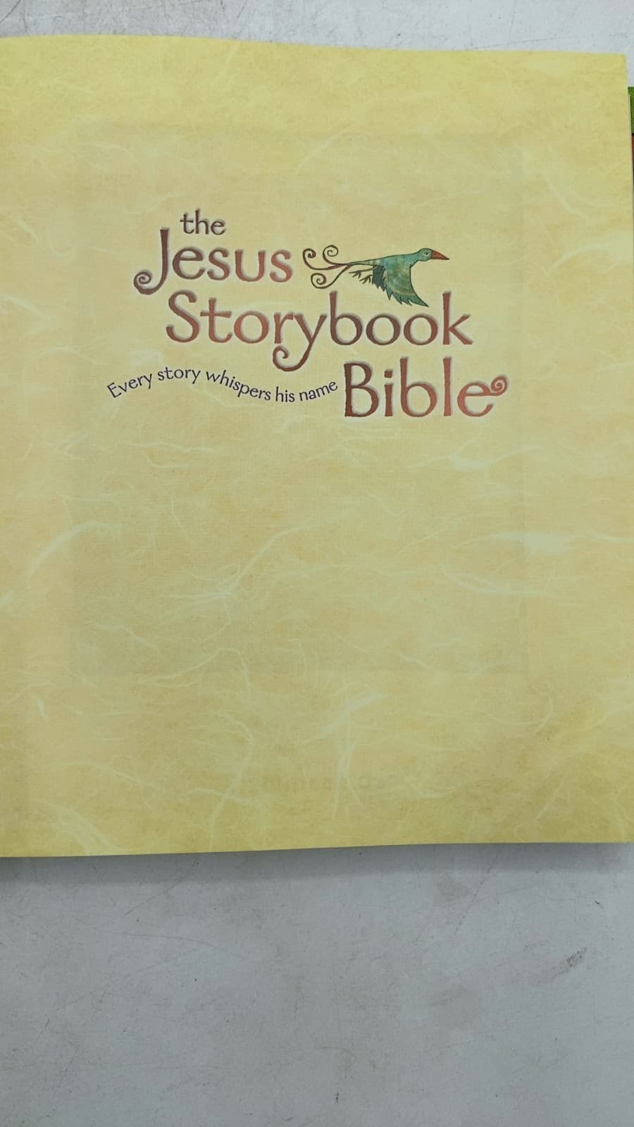 The Jesus Storybook Bible by Sally Lloyd-Jones - additional view
