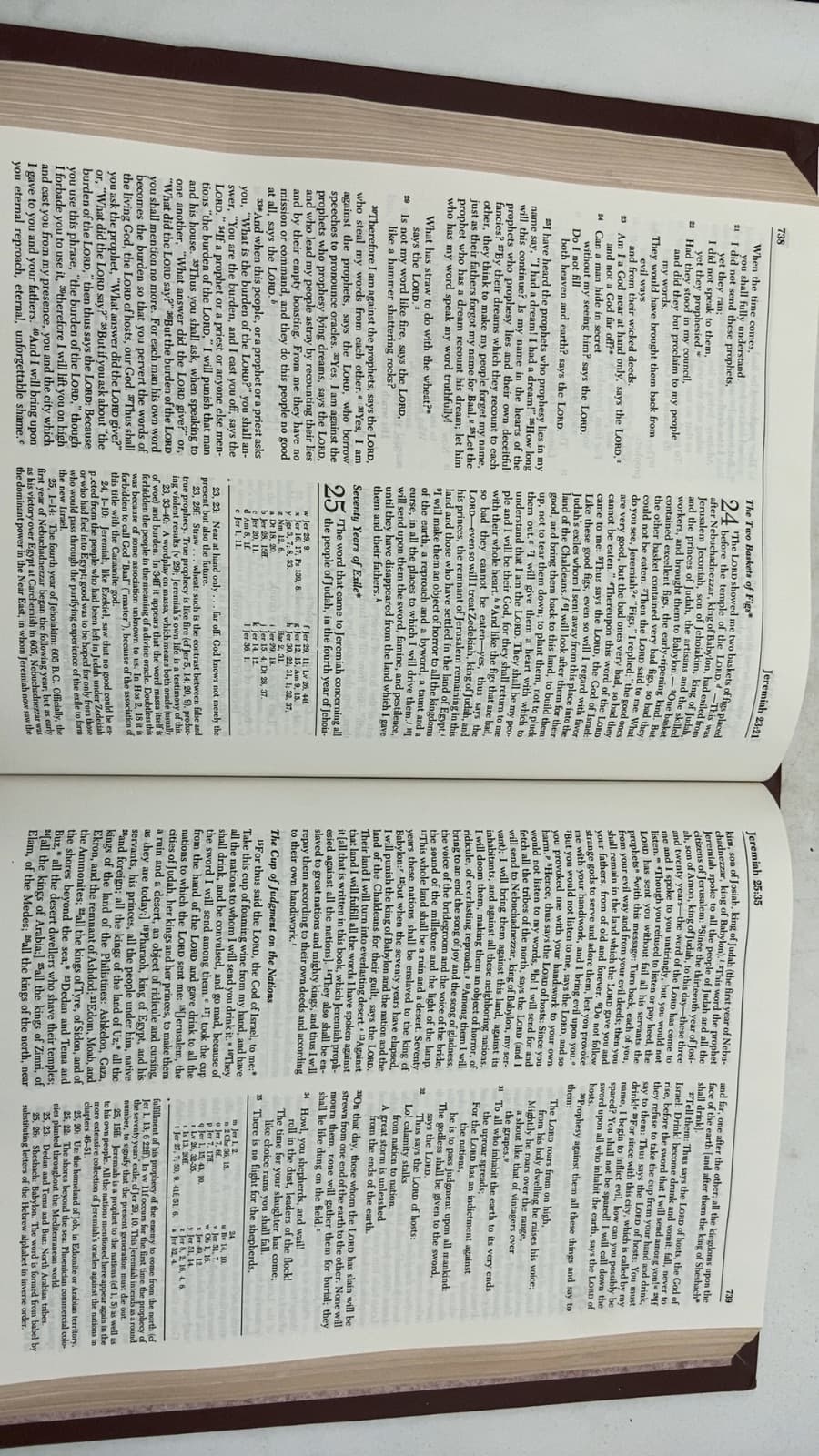 The New American Bible by Confraternity of Christian Doctrine - additional view