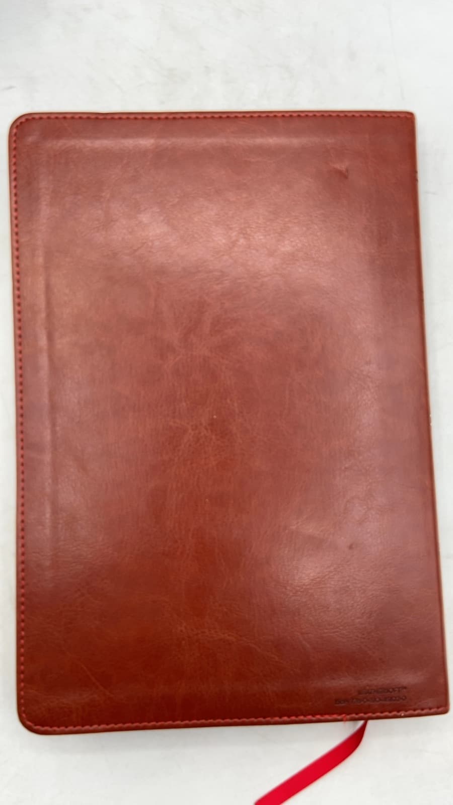 Holy Bible - additional view