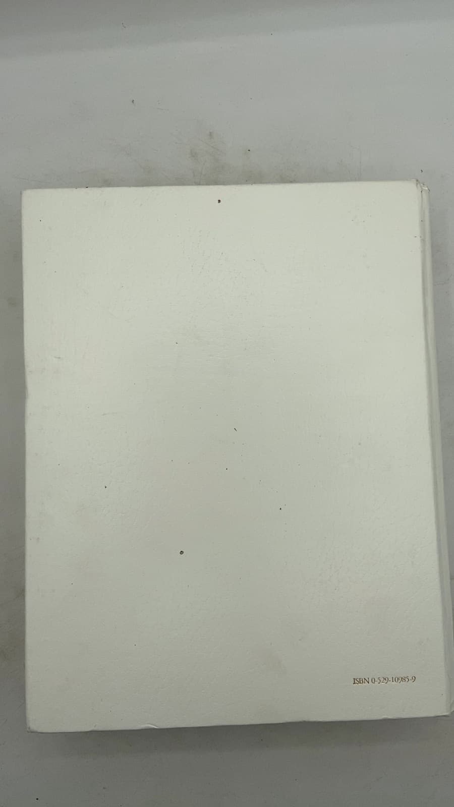 Holy Bible - additional view