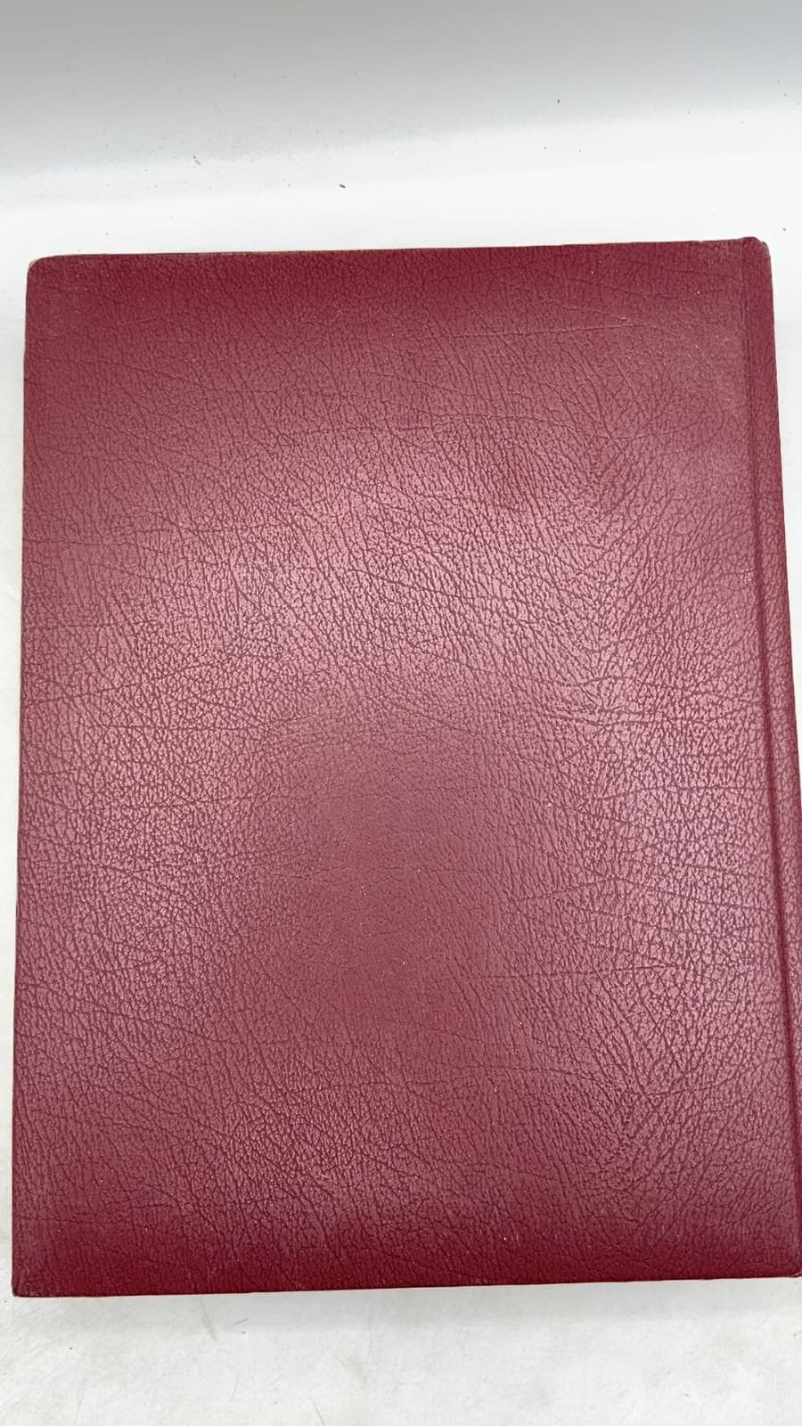 Holy Bible: Authorized or King James Version - additional view