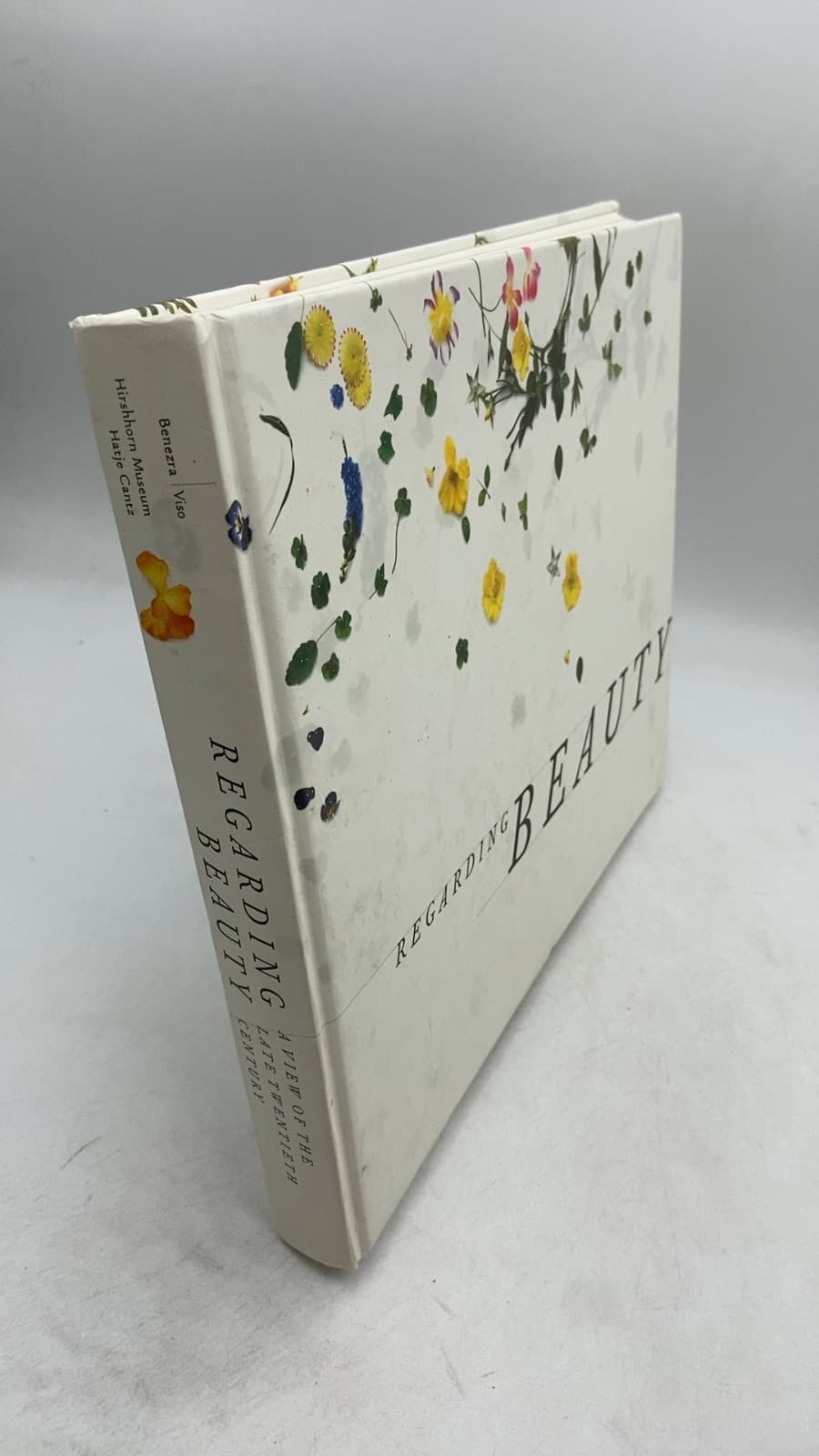 Regarding Beauty: A View of the Late Twentieth Century by Neal Benezra, Olga M. Viso, with an essay by Arthur C. Danto - front cover