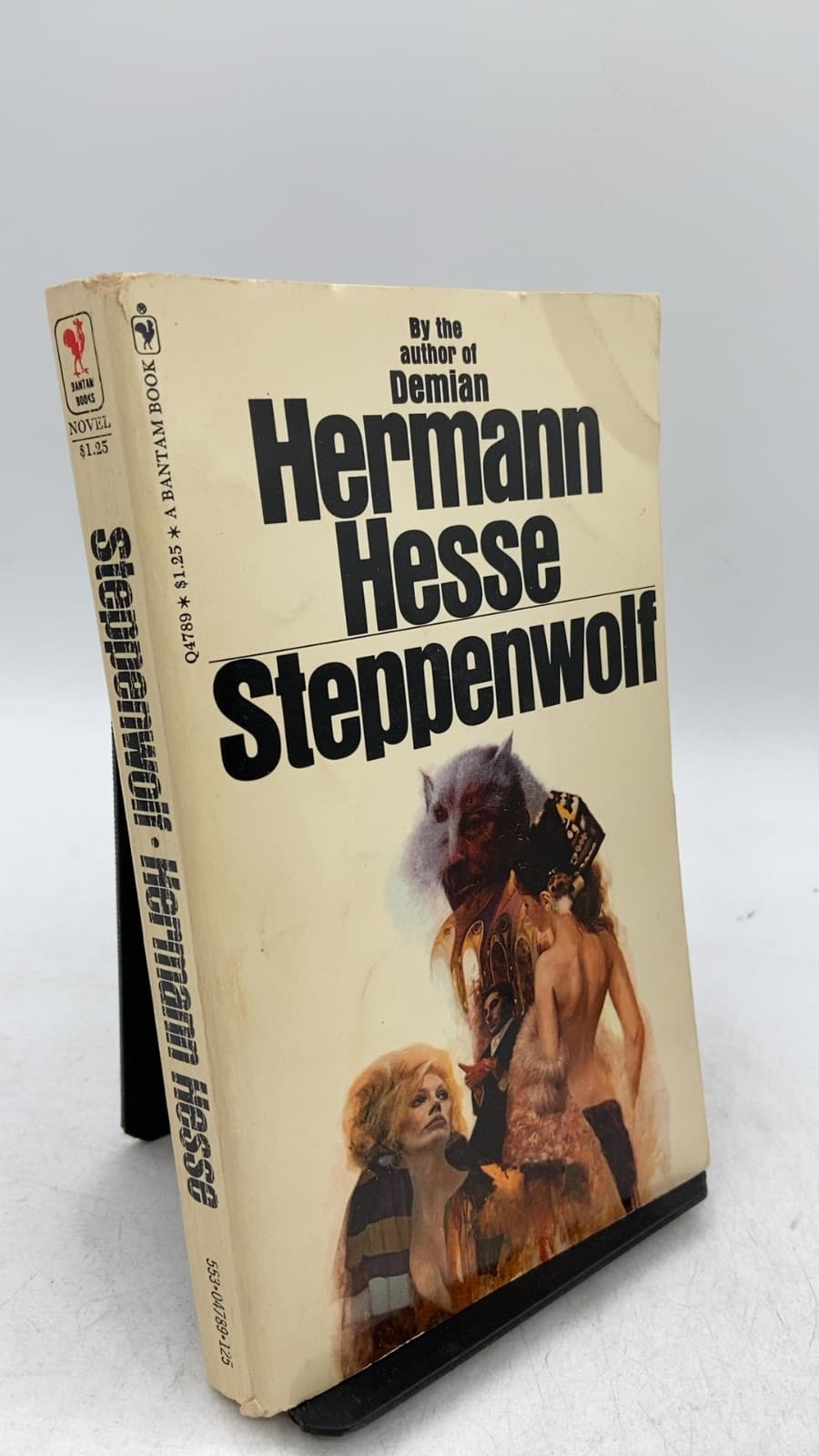 Steppenwolf by Hermann Hesse - front cover