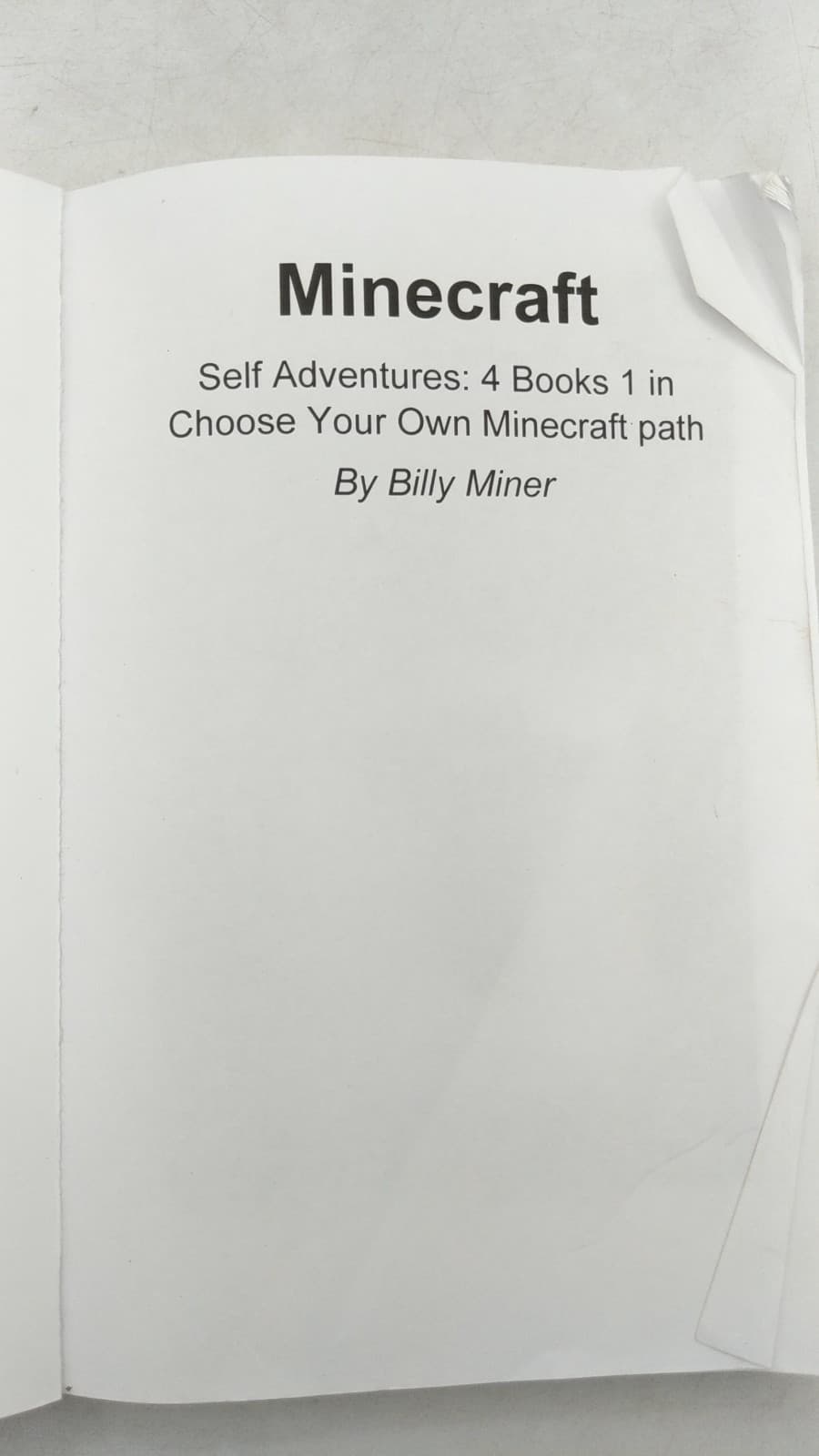 Minecraft Self Adventures: 4 Books 1 in Choose Your Own Minecraft path by Billy Miner - title page