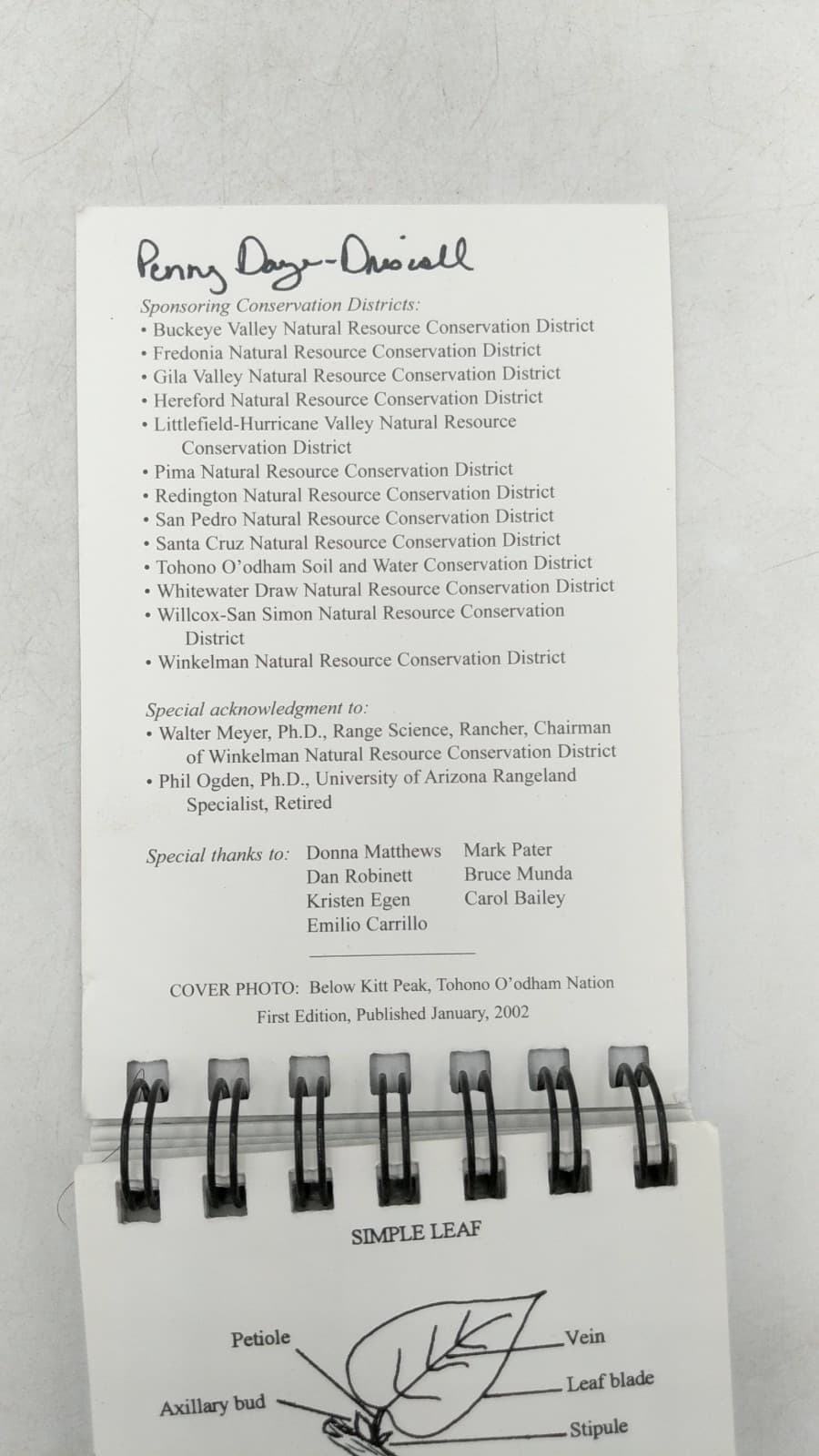 Winter Forbs of Southeastern Arizona - title page