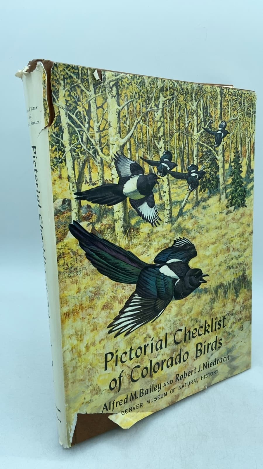 Pictorial Checklist of Colorado Birds by Alfred M. Bailey and Robert J. Niedrach - front cover