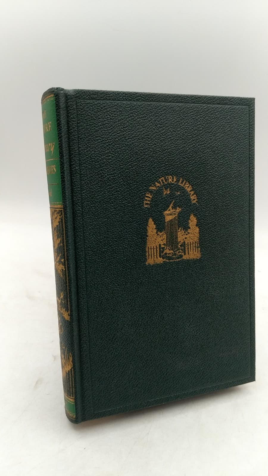 Butterflies - front cover