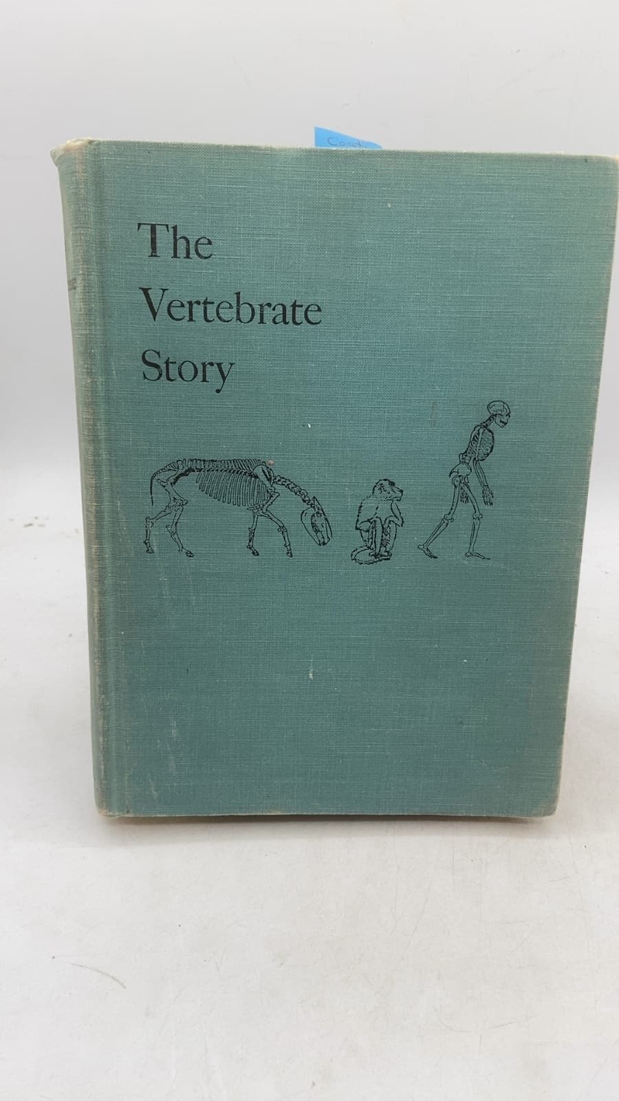 The Vertebrate Story by Alfred S. Romer - front cover