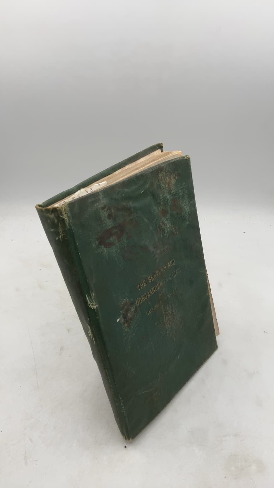 The Skavlem and Ødegaarden Families by Halvor L. Skavlem - front cover