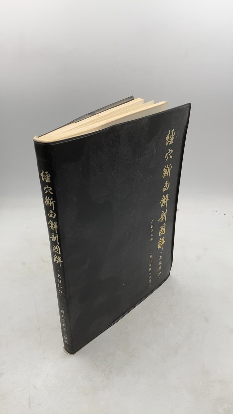 经穴断面解剖图解 (上肢部分) by null - front cover