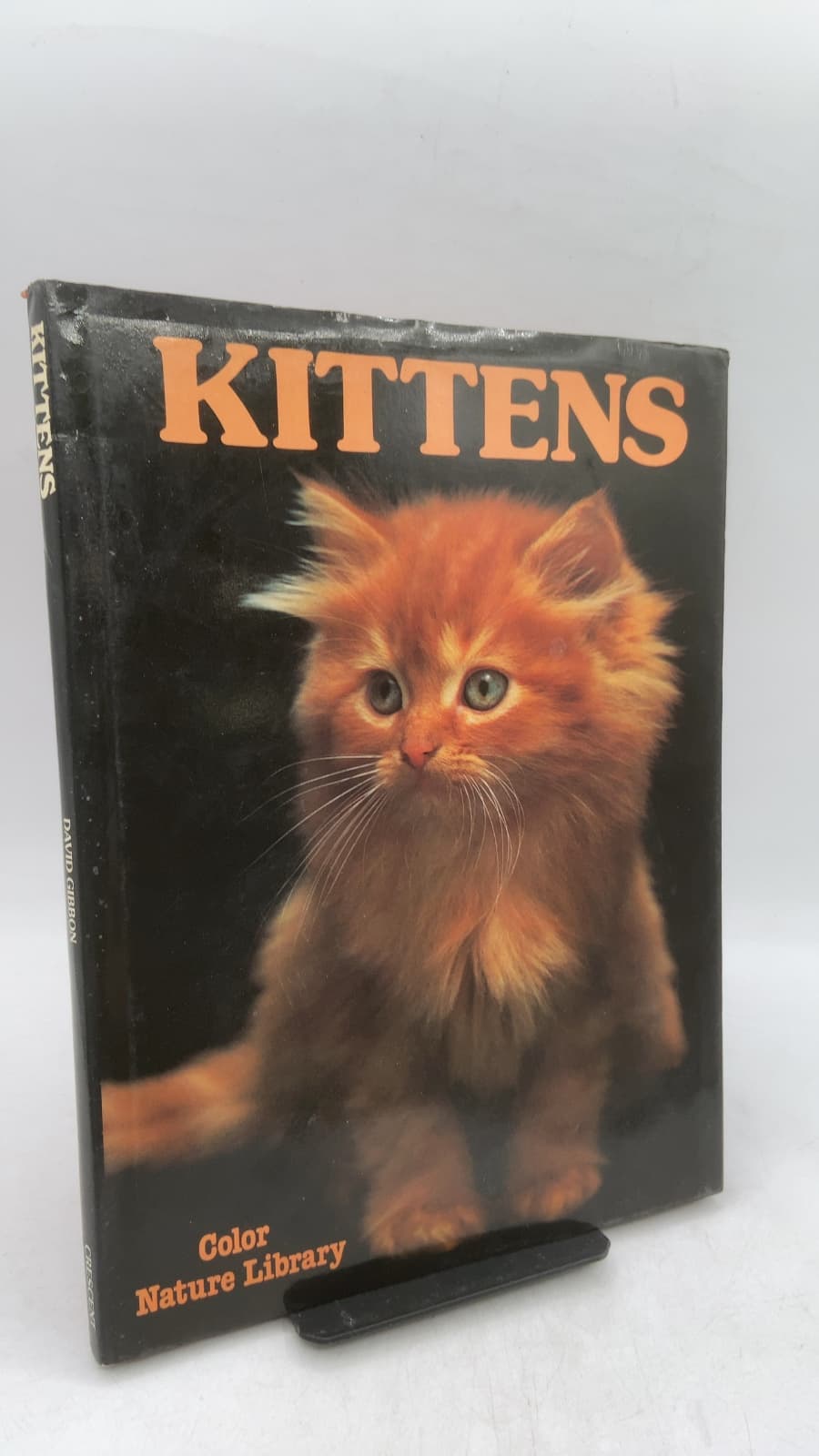 Kittens by David Gibbon - front cover