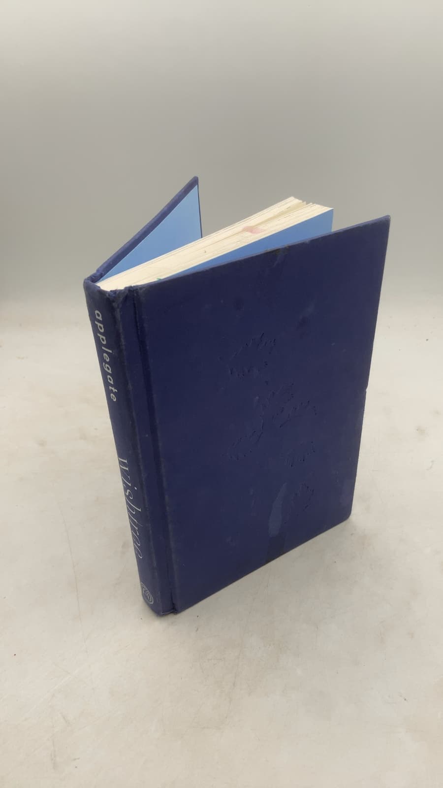 wishtree by katherine applegate - front cover
