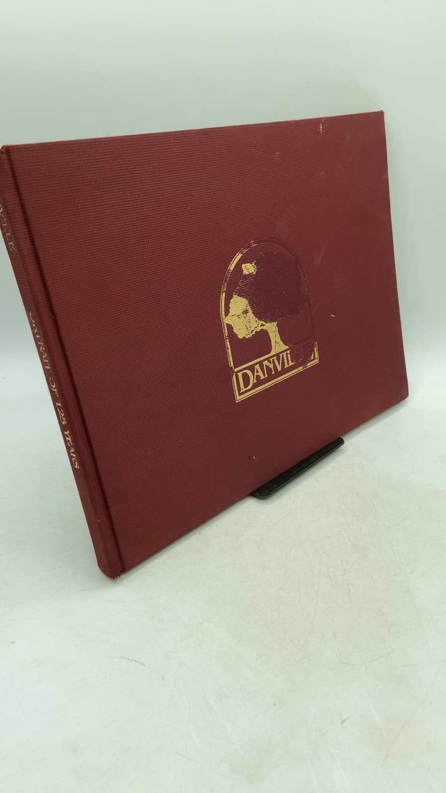 Danville: Portrait of 125 Years - front cover