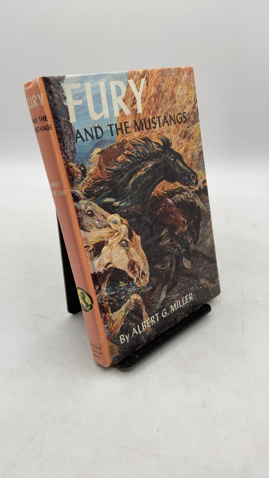 Fury and the Mustangs