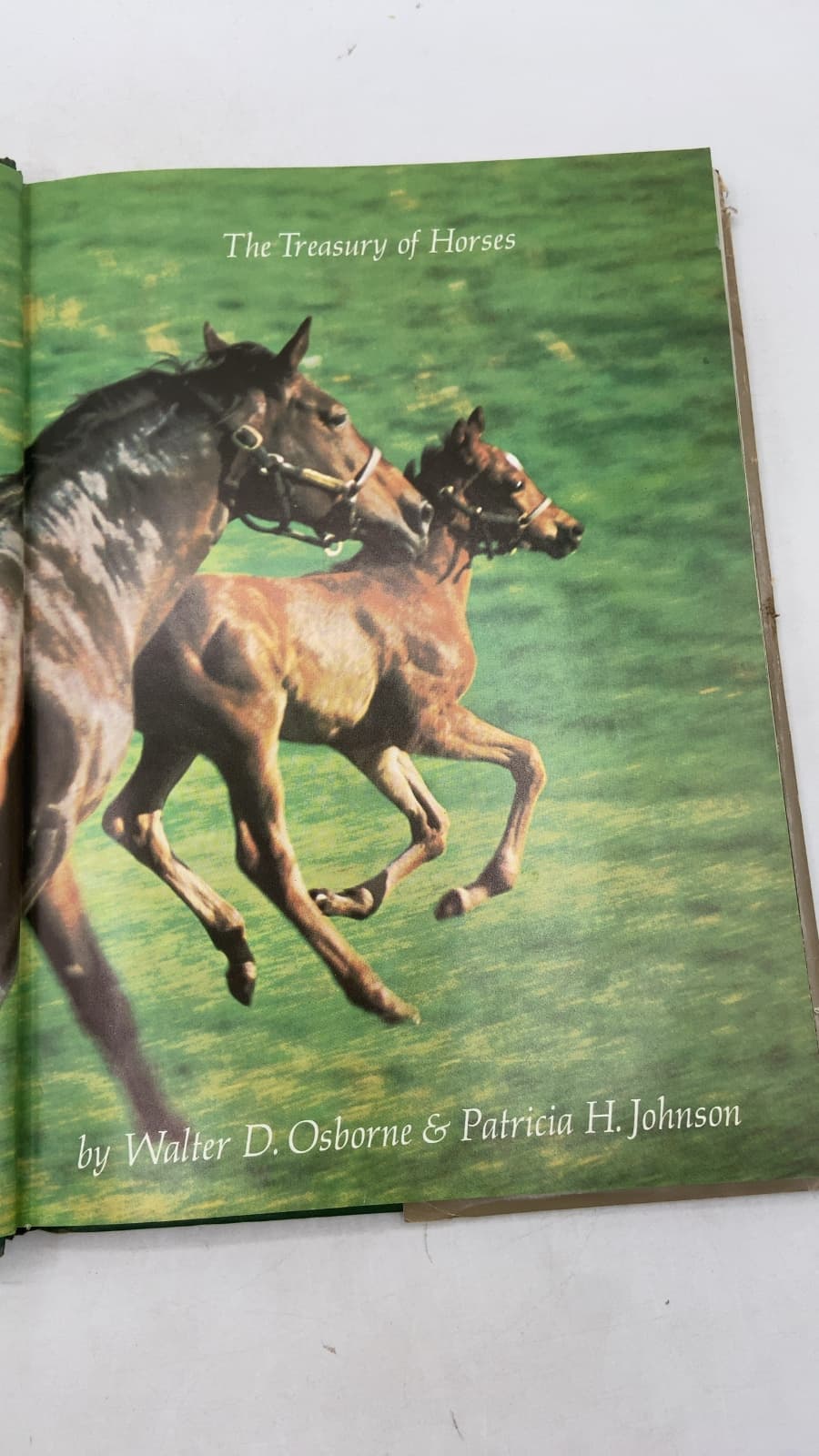 The Treasury of Horses by Walter D. Osborne & Patricia H. Johnson - title page