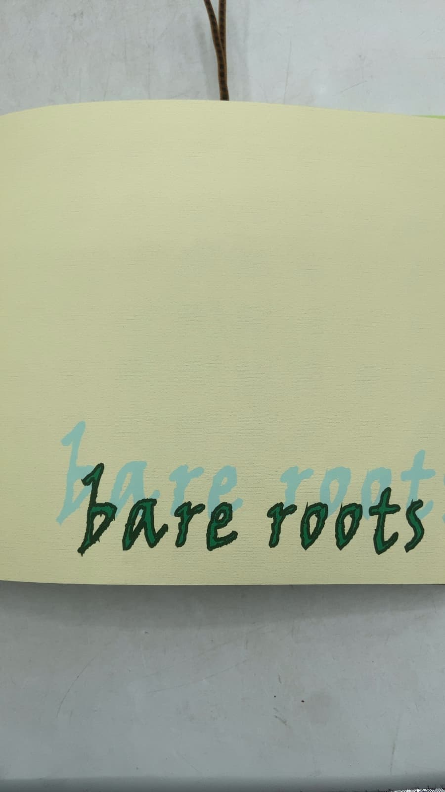 Bare Roots: An Anthology of Flowers and Poetry by Thelma Richie Homer - title page