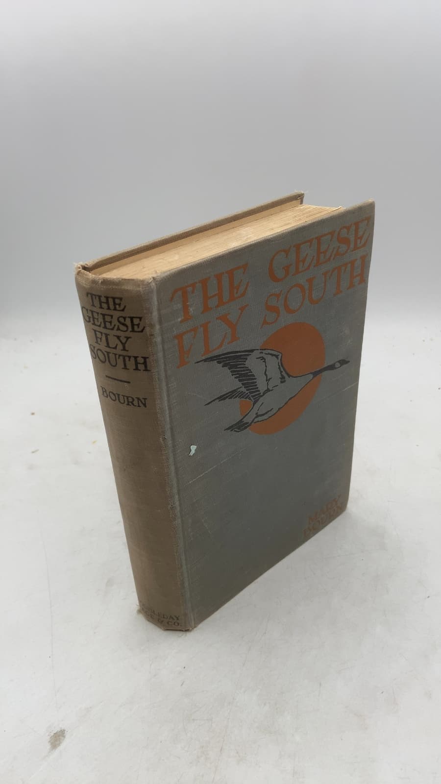 The Geese Fly South by Mary Bourn - front cover