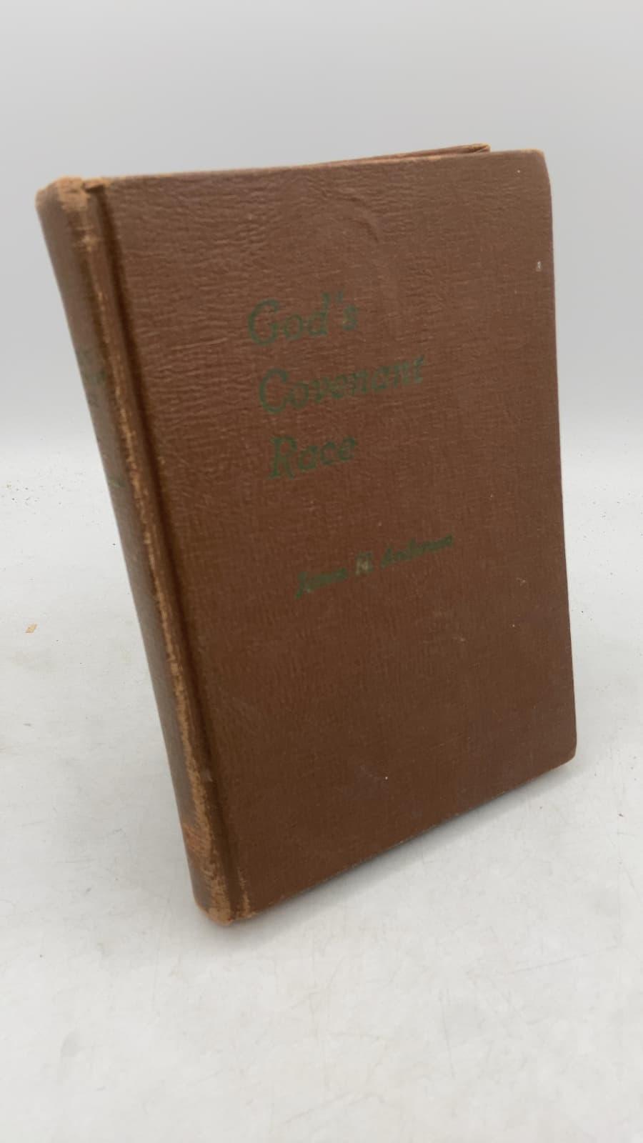 God's Covenant Race: From Patriarchal Times to the Present by Elder James H. Anderson - front cover
