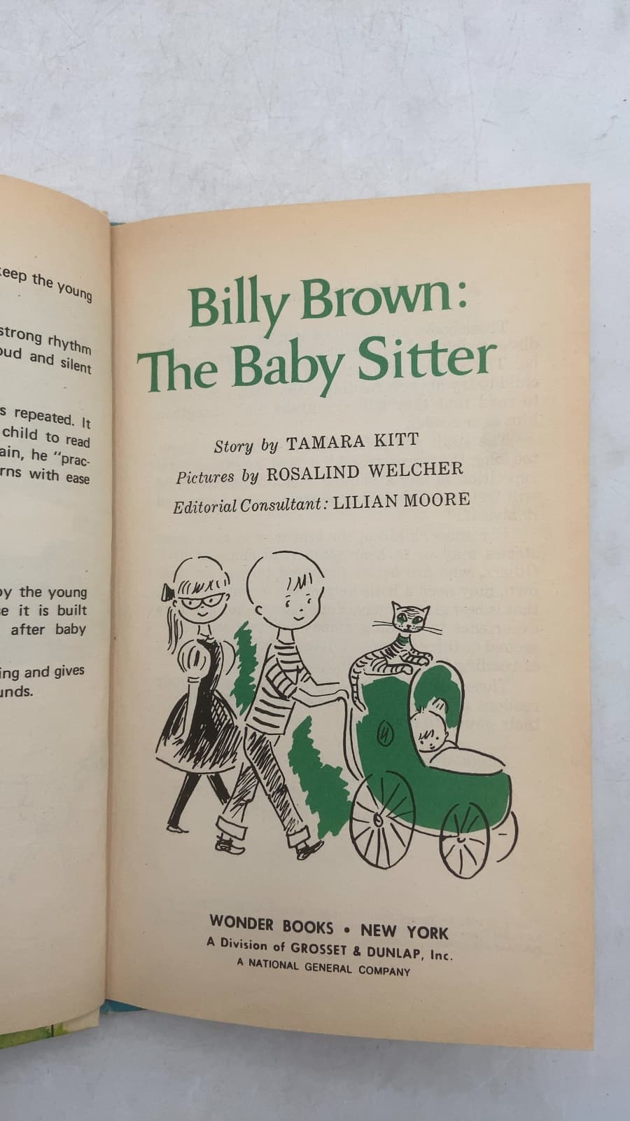 Billy Brown: The Baby Sitter by Tamara Kitt - title page